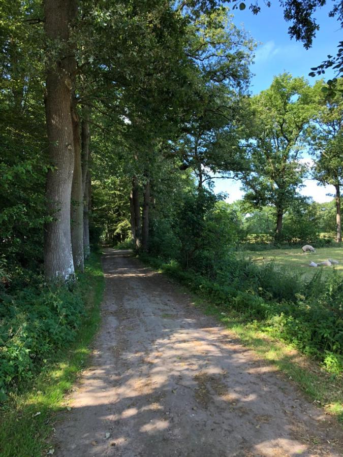 Klein Bosland By Logeren Bij Saar Villa Wijnjewoude Kültér fotó