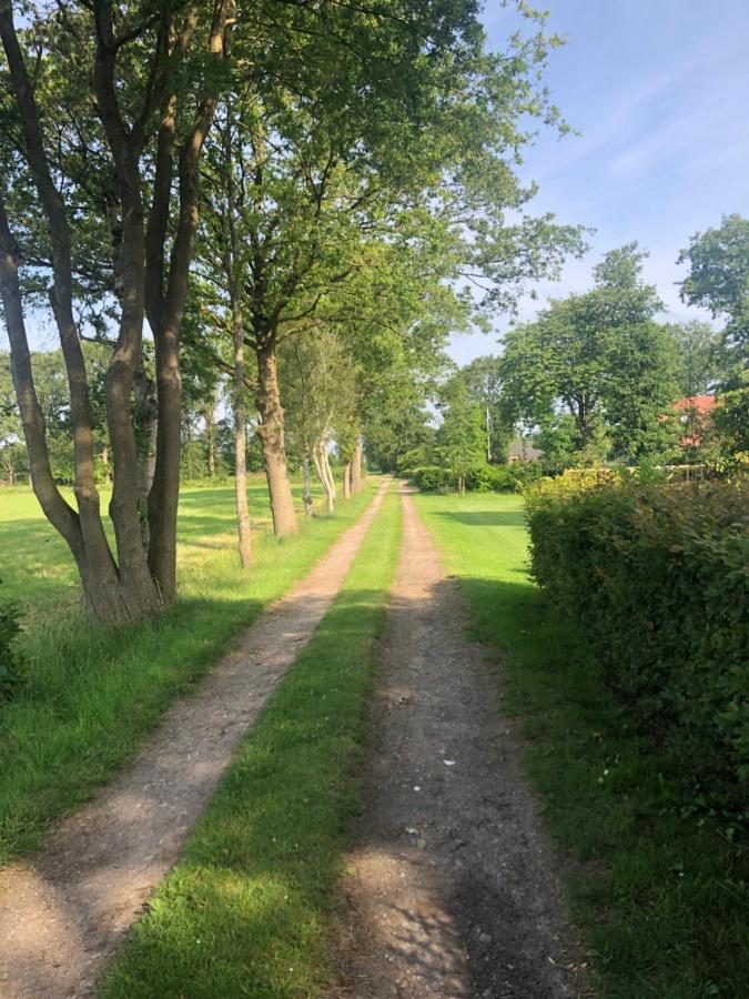 Klein Bosland By Logeren Bij Saar Villa Wijnjewoude Kültér fotó