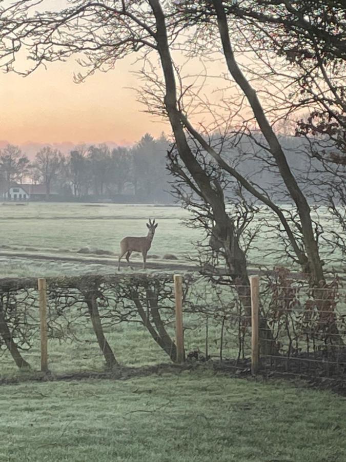 Klein Bosland By Logeren Bij Saar Villa Wijnjewoude Kültér fotó