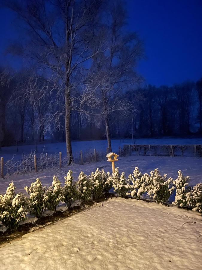 Klein Bosland By Logeren Bij Saar Villa Wijnjewoude Kültér fotó